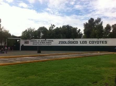 Fundación de 1999: zoológico para la fauna del Valle